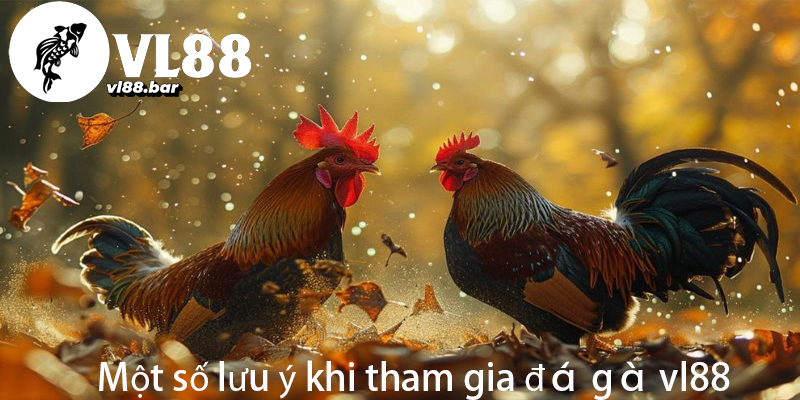 Một số lưu ý khi tham gia đá gà vl88